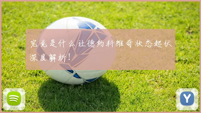 究竟是什么让德约科维奇状态起伏深度解析！